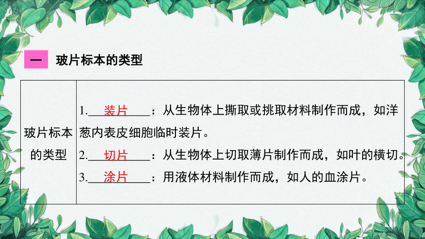 2023年中考生物复习 课题五 制作临时装片课件(共26张PPT)