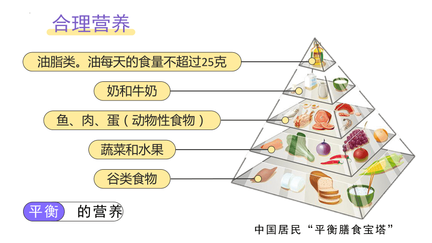 4.2.3合理营养与食品安全课件(共26张PPT) 人教版生物七年级下册