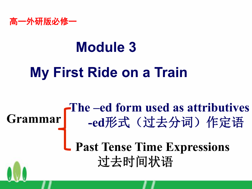 外研版必修一Module 3 My First Ride on a Train Grammar过去分词作定语、过去时间状语教学课件 （共21张PPT）
