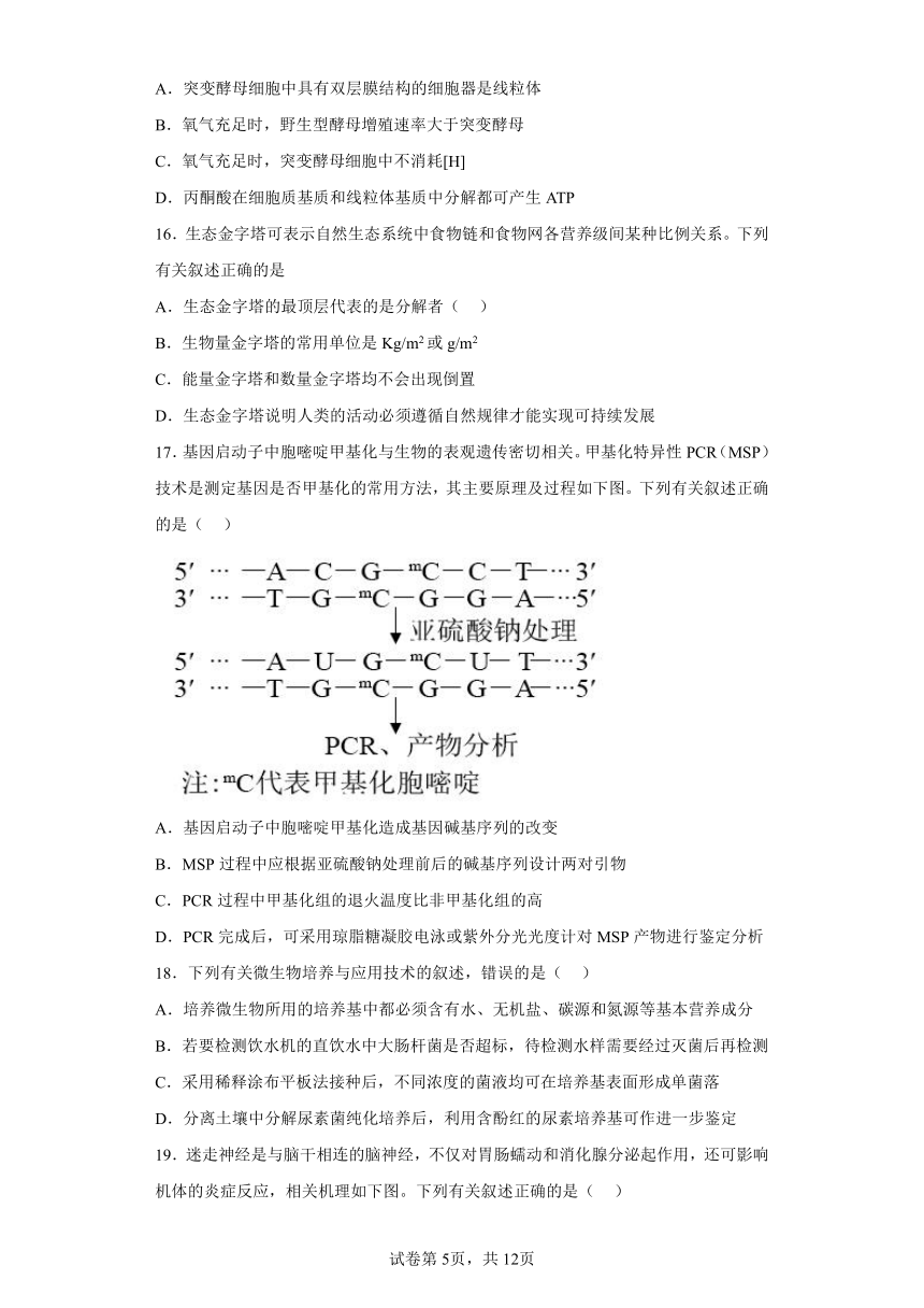 2023届江苏省盐城市高三三模生物试题（含解析）