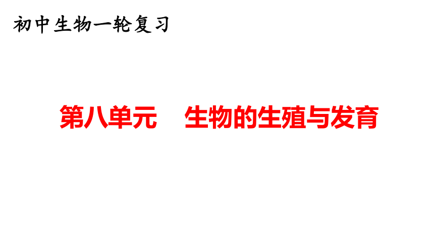 2024中考复习第八单元生物的生殖与发育复习课件(共27张PPT)