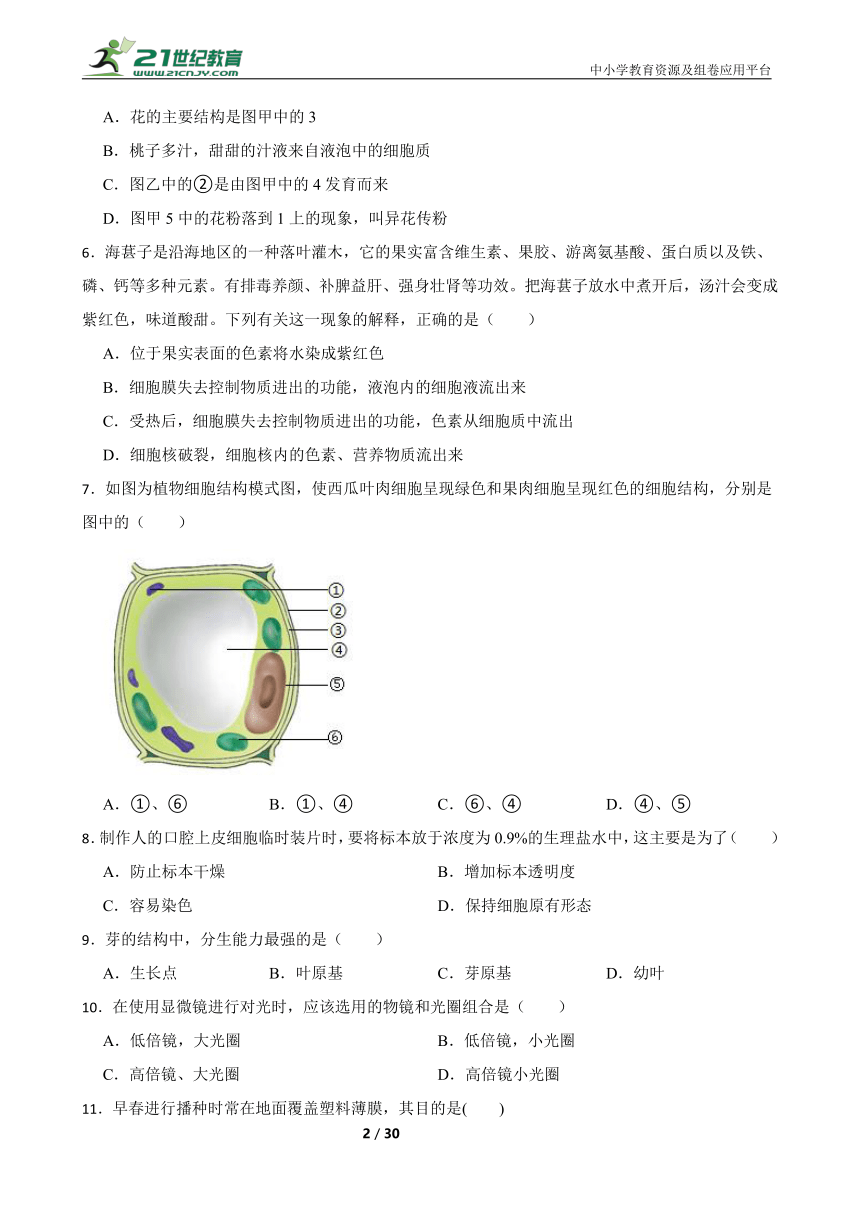 北师大版生物七年级上册期末模拟试卷（二）（含解析）