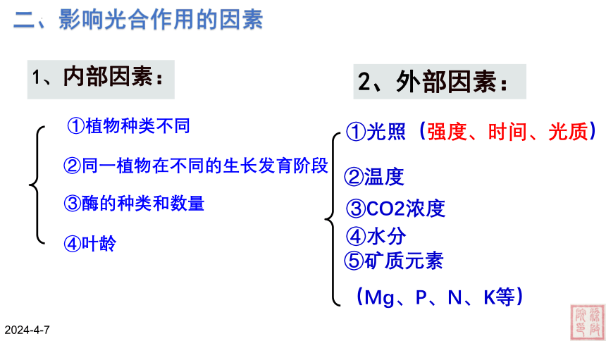 5.4光合作用与能量转化（第4课时）(课件共26张PPT)