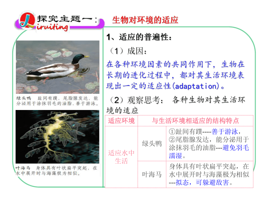 2020-2021学年济南版八年级生物下册6.1.2  生物对环境的适应与影响 课件(共22张PPT)