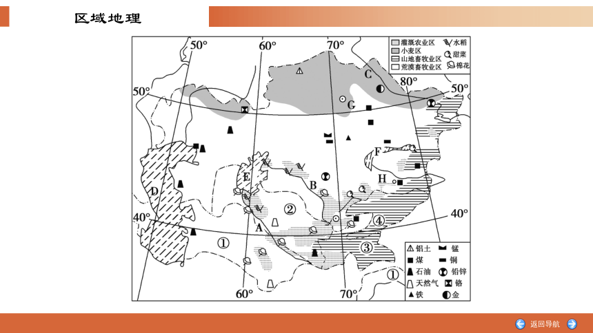 区域地理复习9 中亚课件（共49张PPT）