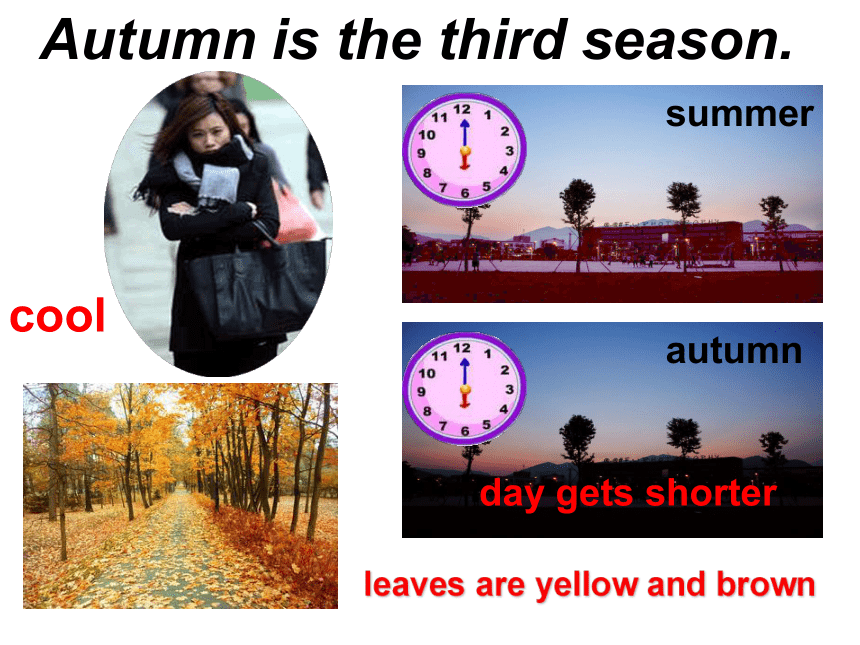 Unit6 There are four seasons in a year.（Lesson36) 课件(共17张PPT)