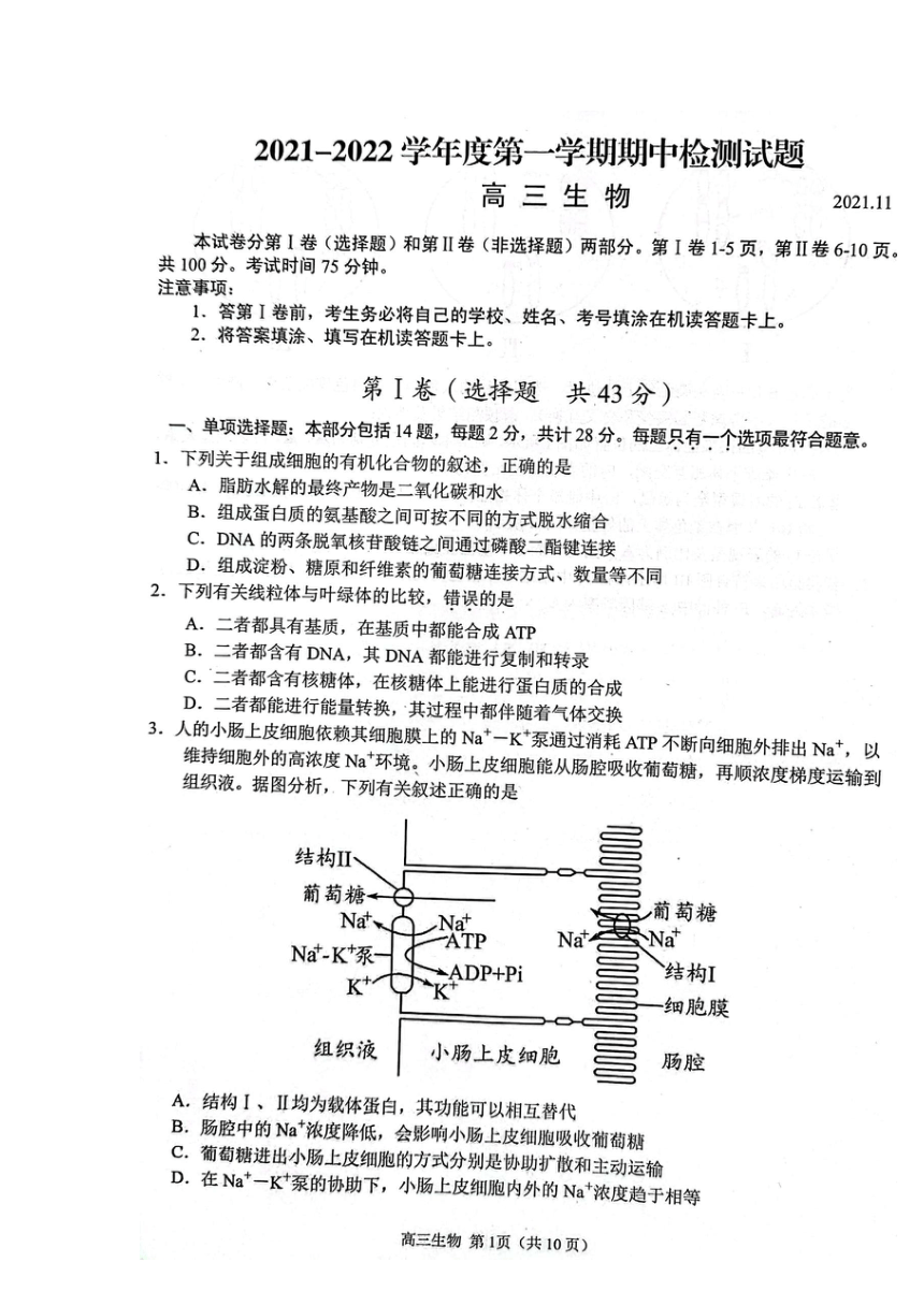 江苏省扬州市2022届高三上学期期中考试生物试题（扫描版含答案）