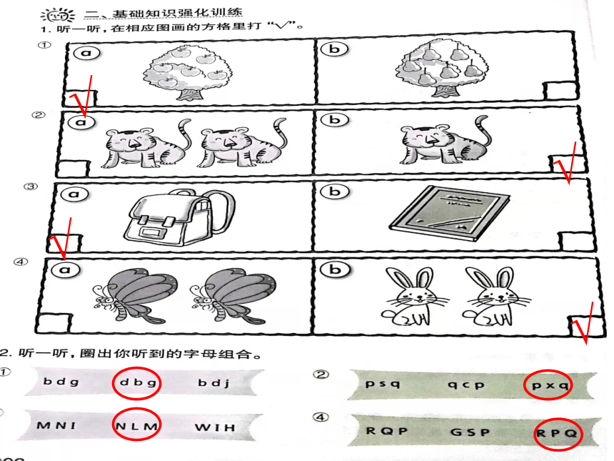 Module 1 Unit 1 What can you see ？ 课件(共13张PPT)