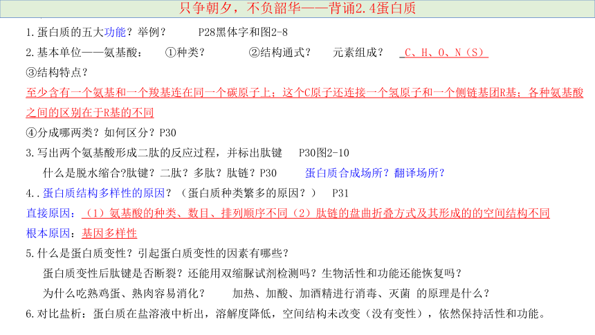 04 蛋白质和核酸-2024年高考生物一轮复习（新教材新高考）（共20张PPT)