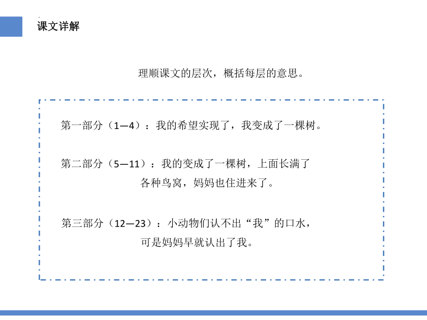 17我变成了一棵树 课件 (共25张PPT)