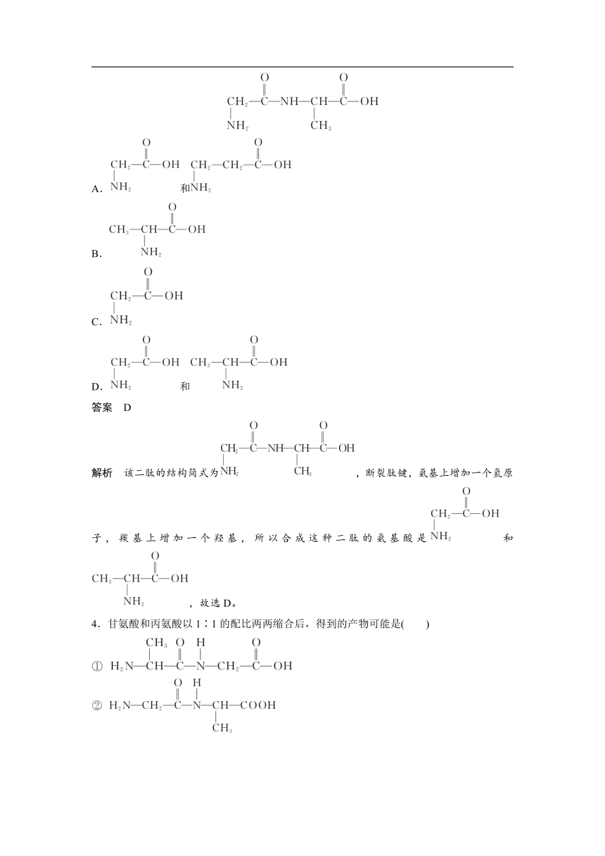 第四章 生物大分子  第二节  蛋白质-2022-2023学年高二化学人教版(2019)选择性必修3（学案）（含答案）