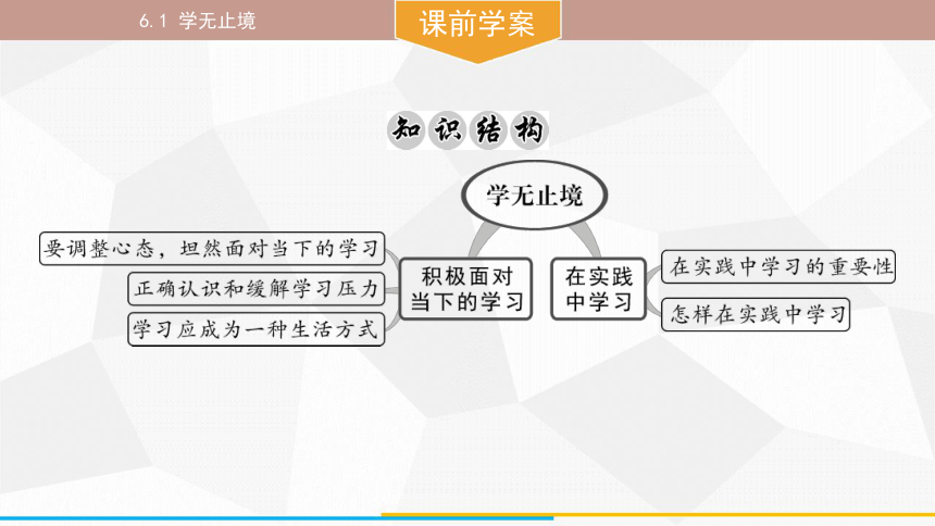 （核心素养目标）6.1 学无止境 课件(共31张PPT) 统编版道德与法治九年级下册