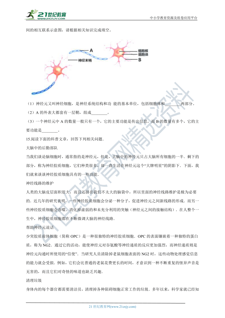 人教版2021初中生物七年级下册4.6.2神经系统的组成同步练习（含解析）