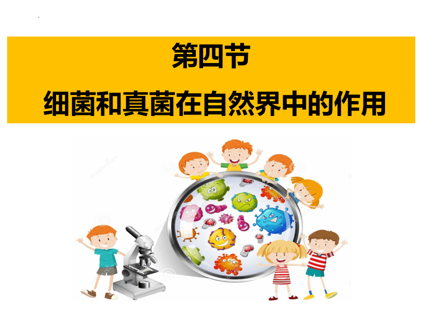 人教版生物八年级上册 5.4.4 细菌和真菌在自然界中的作用  2022-2023学年课件 (共18张PPT)