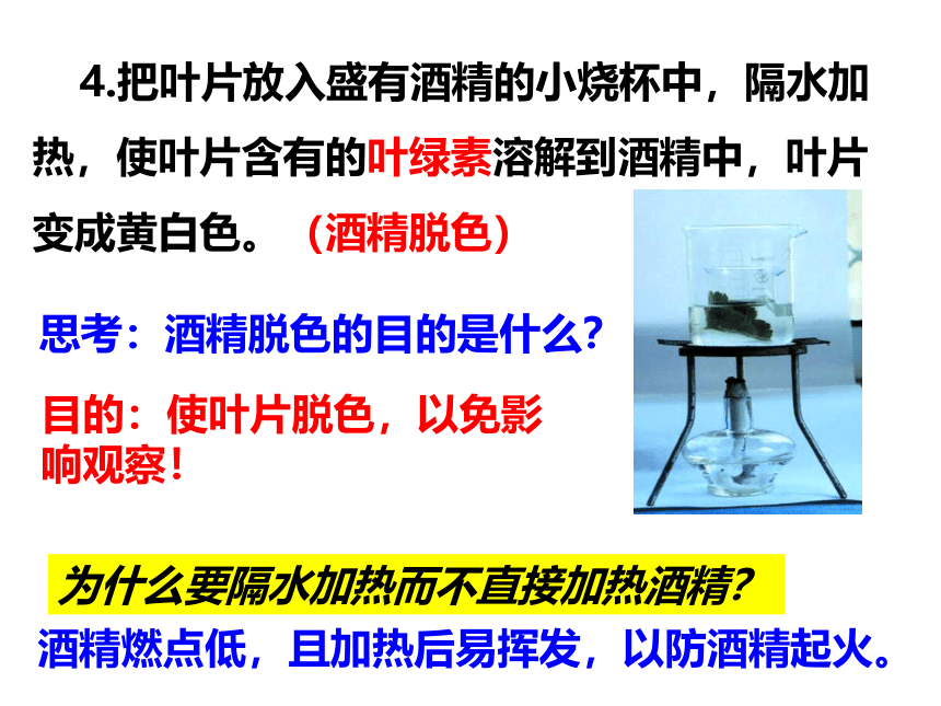 2021-2022学年人教版七年级生物上册3.4绿色植物是生物圈中有机物的制造者课件(共20张PPT)