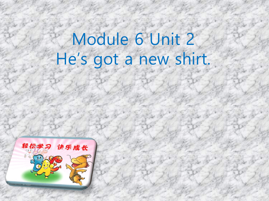 Module 6 Unit 2  He’s got a new shirt. 课件(共19张PPT)