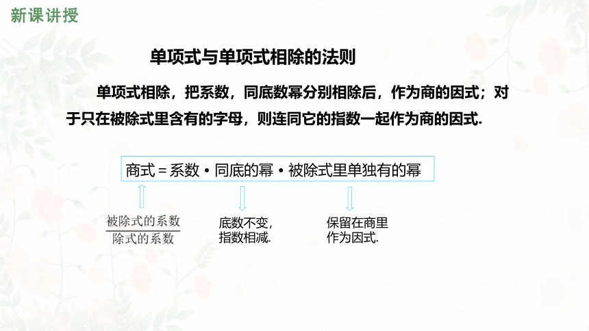 2022年北师大版七年级数学下册1.7 整式的除法 课件（17张）