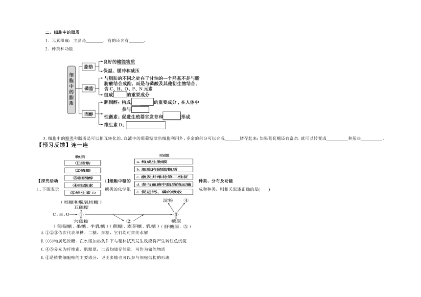 2.3细胞中的糖类和脂质学案-2022-2023学年高一上学期生物人教版（2019）必修1（含答案）