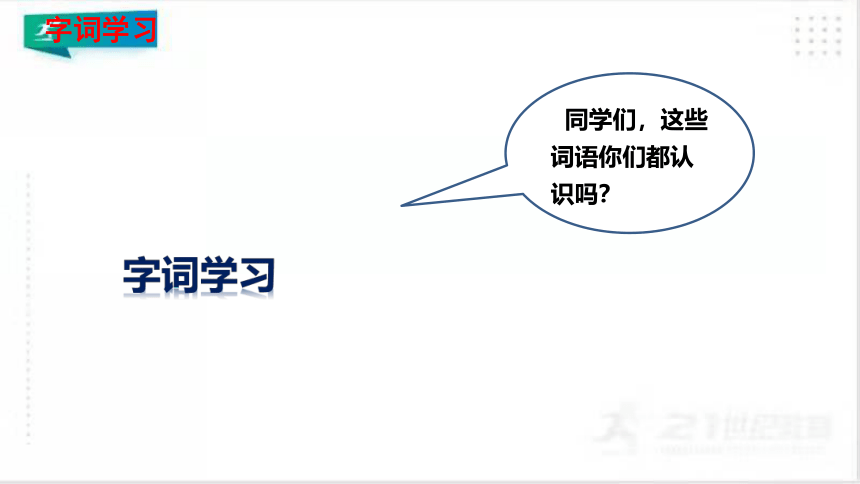 2.丁香结    课件（共47张PPT）