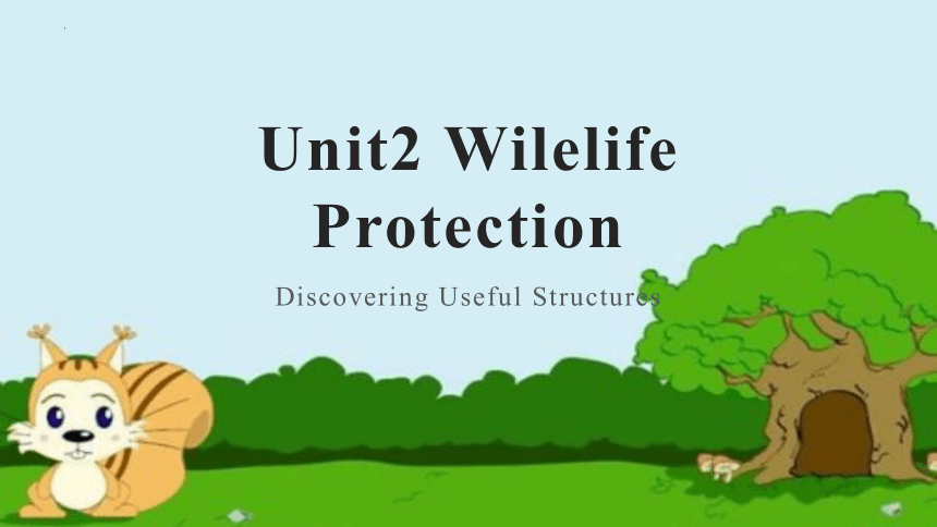 人教版（2019）  必修第二册  Unit 2 Wildlife Protection Dsicovering useful structures 课件（共20张）