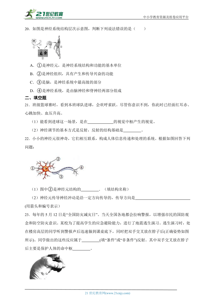 华师大版科学 八下 7.2人体生命活动的神经调节 课时训练（含答案）