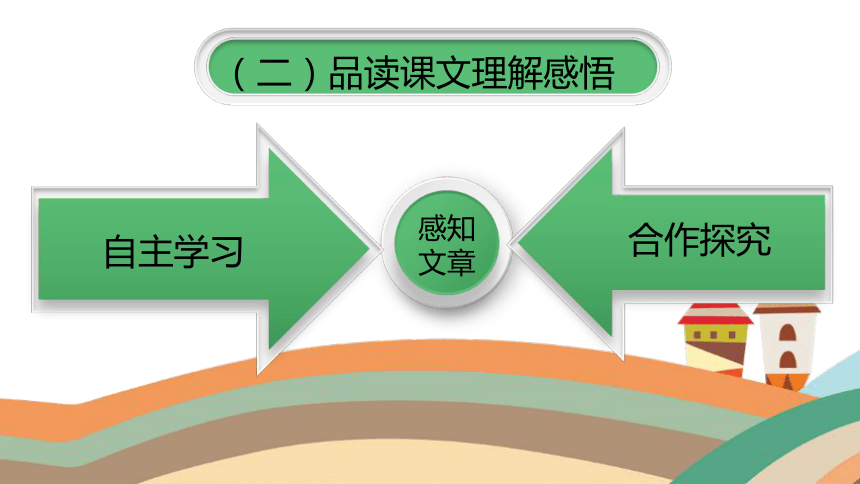 19 一只窝囊的大老虎    说课  课件 (共30张PPT)