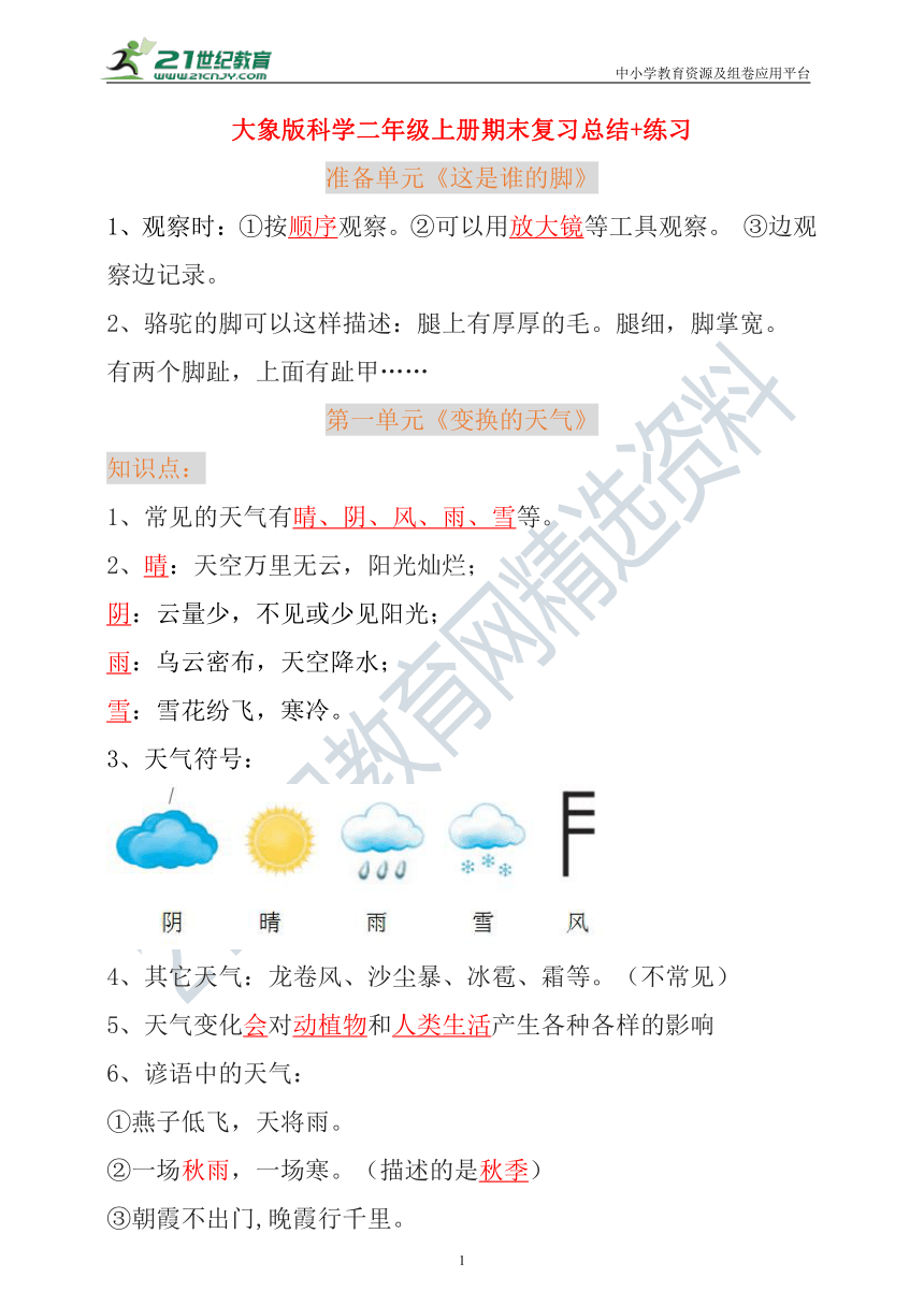 大象版科学二年级上册期末复习总结+练习