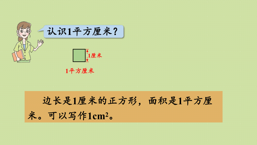 青岛版三年级数学下册 回顾整理—— 总复习 领域二 图形与几何  课件