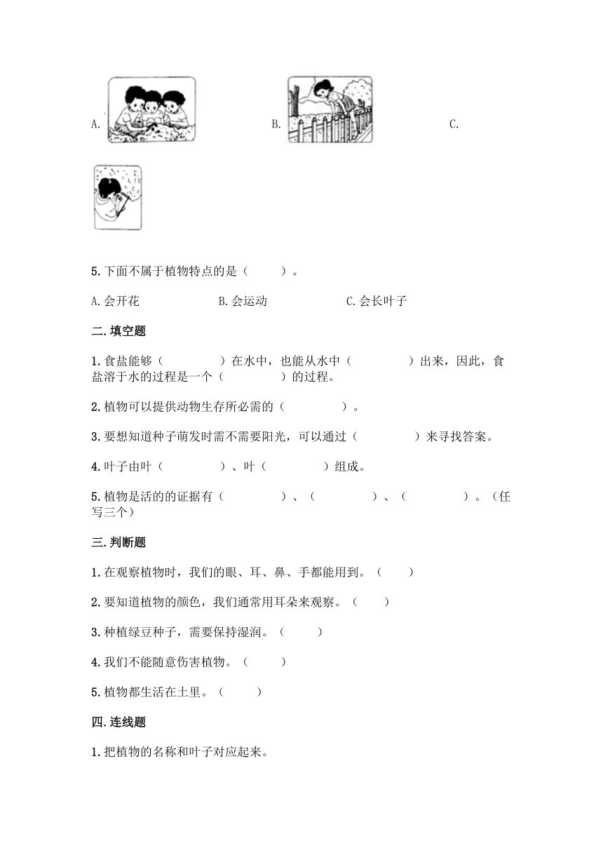 2021-2022学年教科版（2017秋）科学一年级上册第一单元 植物 单元测试卷（含答案）