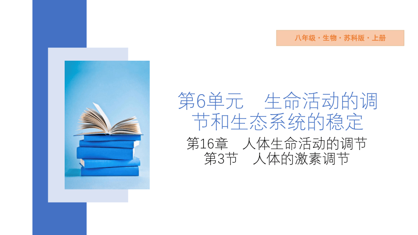 6.16.3 人体的激素调节 课件(共17张PPT) 2023-2024学年苏科版生物八年级上册