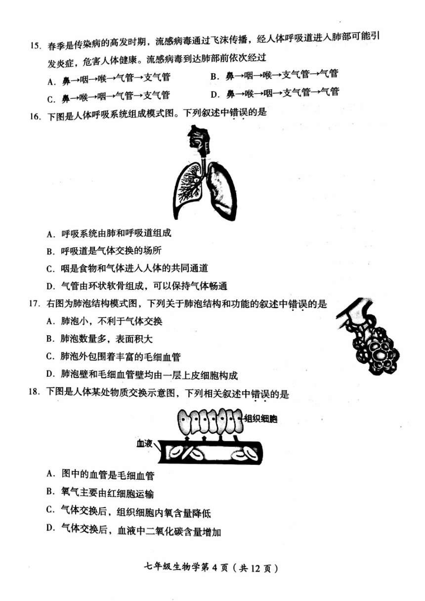 2024北京房山区初一（下）期中生物（pdf版无答案）
