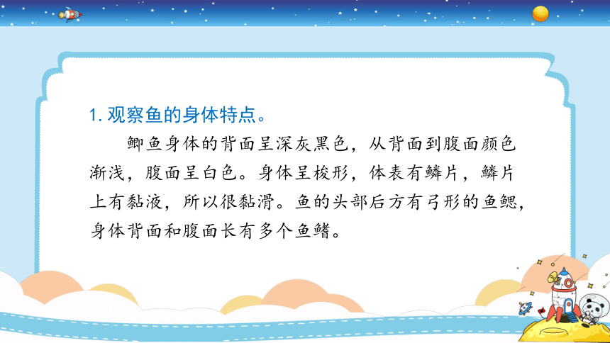 教科版（2017秋）一年级下册 2.5 观察鱼（课件14张PPT)