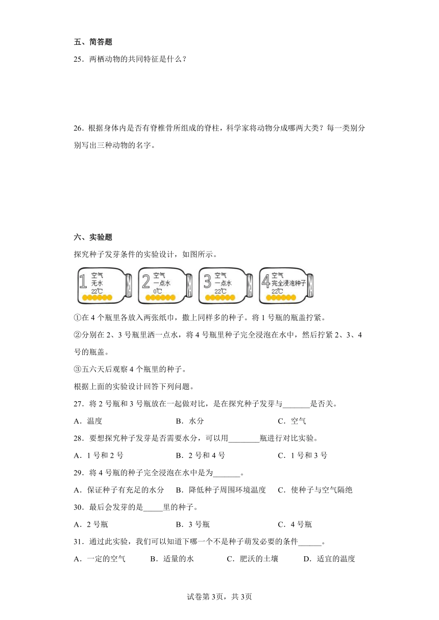 人教鄂教版（2017秋）四年级上册科学期中质量考查测试题（一）含答案