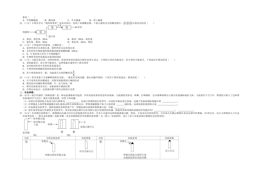 2023年湖北省黄石市中考生物调研试卷（含解析）