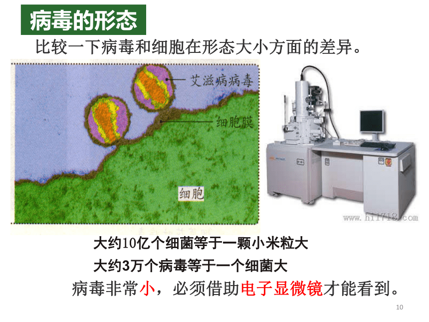 5.5病毒课件(共46张PPT+内嵌视频1个)2023-2024学年人教版生物八年级上册