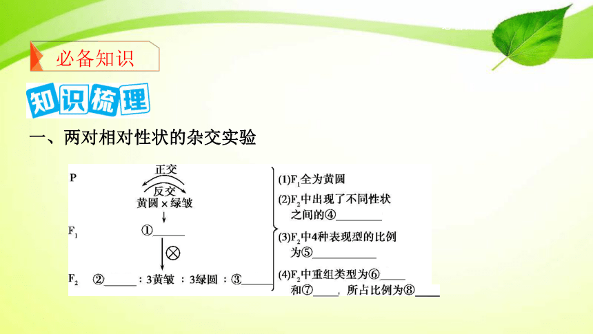 高考生物专题课件15：基因的自由组合定律（共53张PPT）