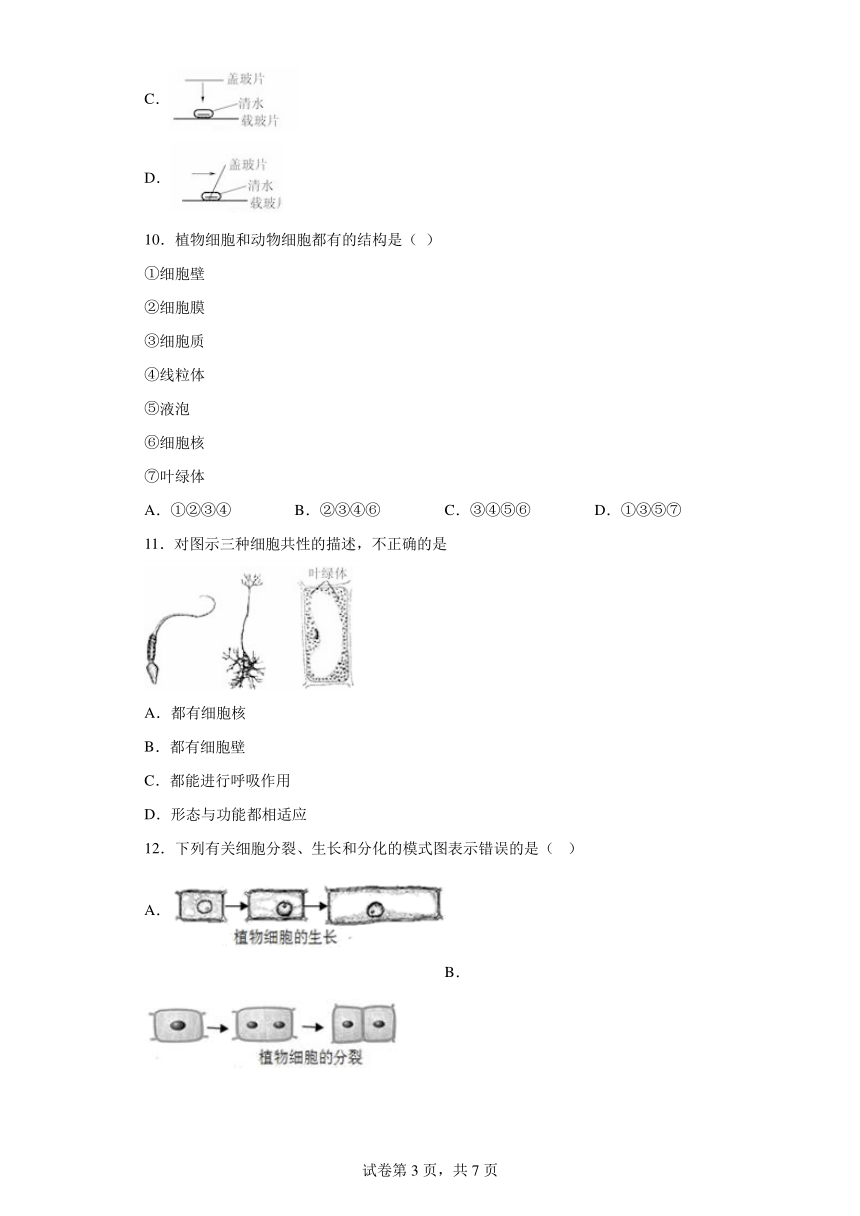 第四章 生物体的结构层次 同步训练  华东师大版科学七年级上册（含解析）