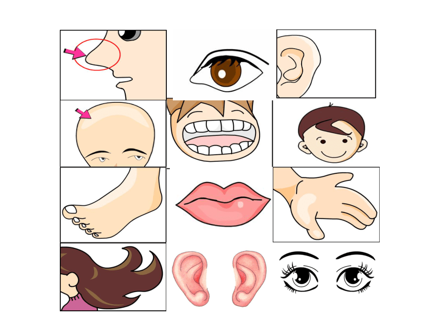 Module 3 Unit 5 Wash your face 课件(共18张PPT)