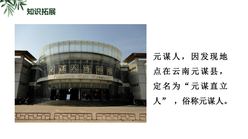 第1课中国境内早期人类的代表—北京人  课件（21张PPT）