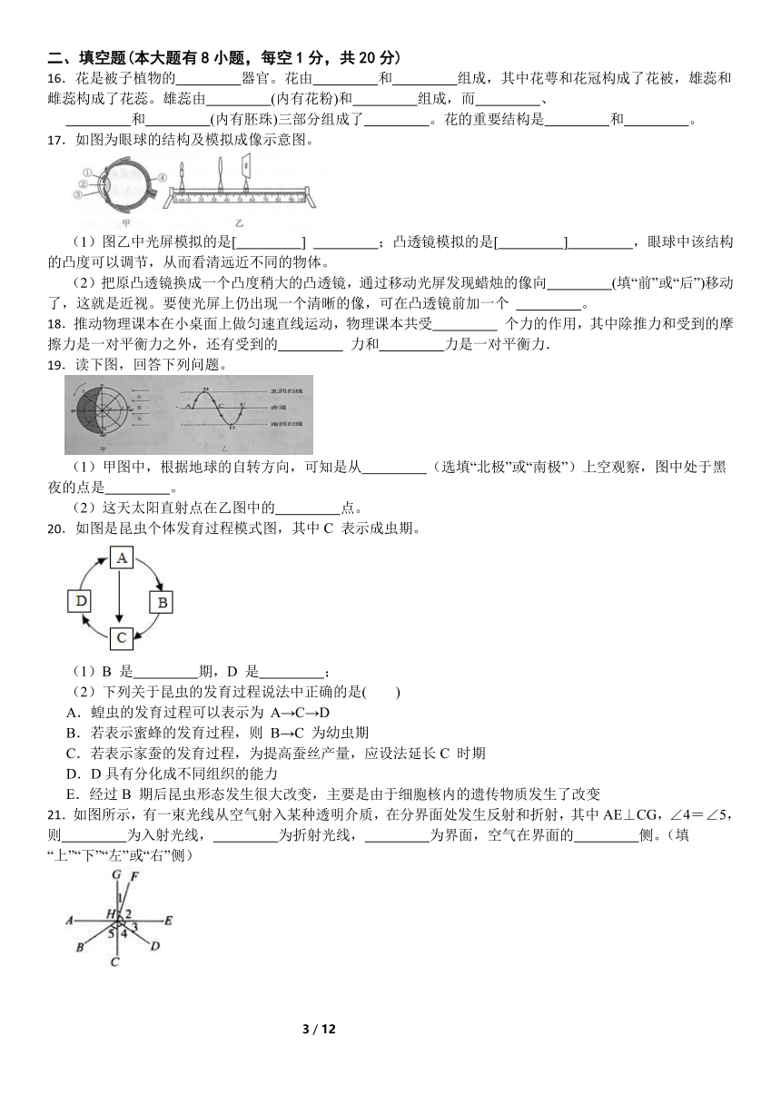 浙教版科学七年级下册科学期末模拟卷（含解析）