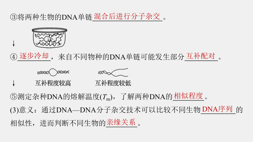 第6章 第一节 生物进化的证据 课件（共55张PPT）