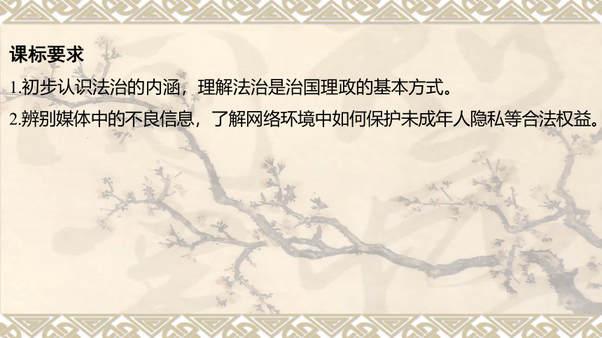 七年级下册 第四单元 走进法治天地 复习课件（49 张ppt）   -2024年中考道德与法治一轮复习