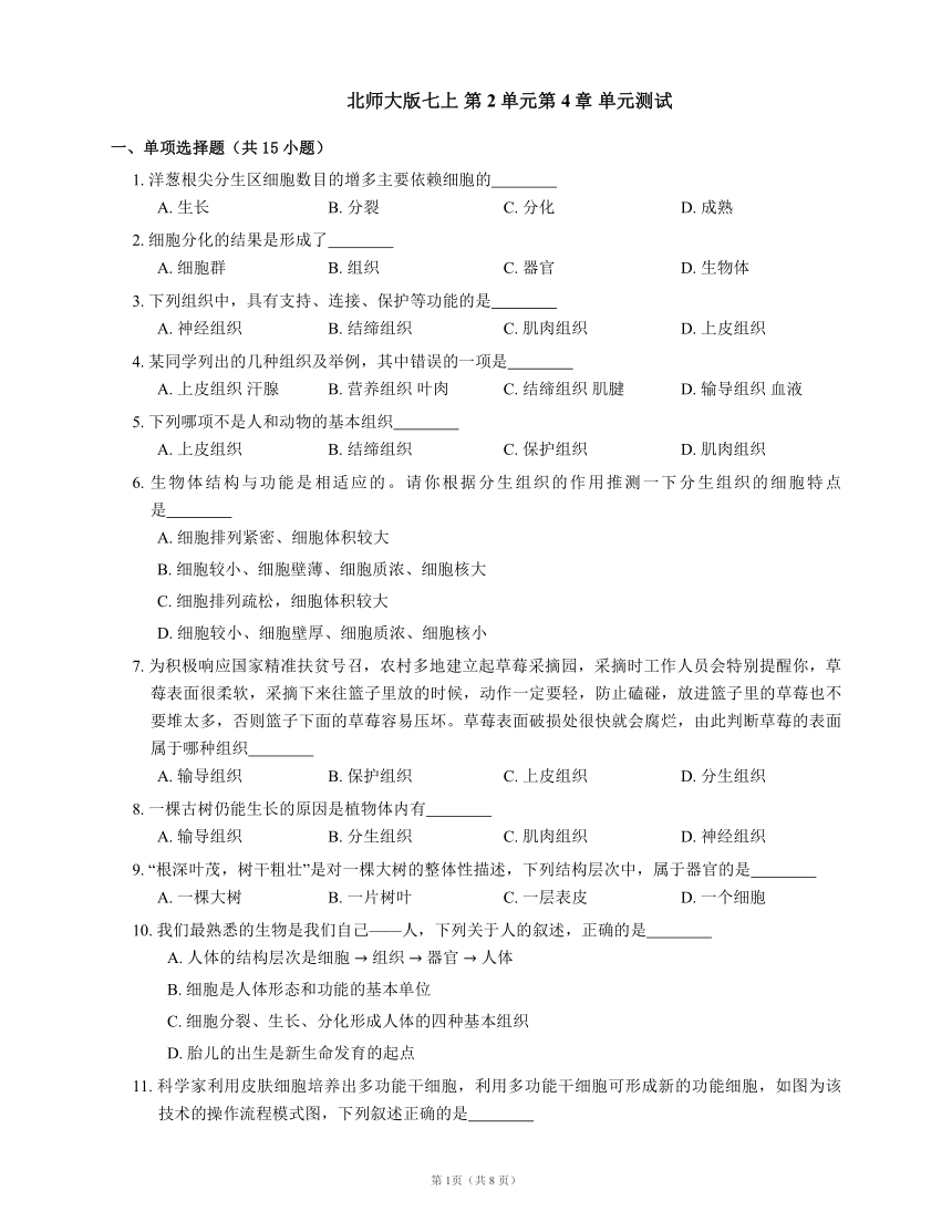 北师大版七上 第2单元第4章生物体的结构层次 单元测试(word版含解析）