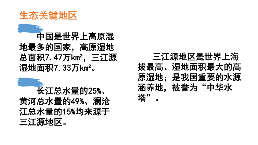 9.2 高原湿地——三江源地区第2课时课件（23张PPT)