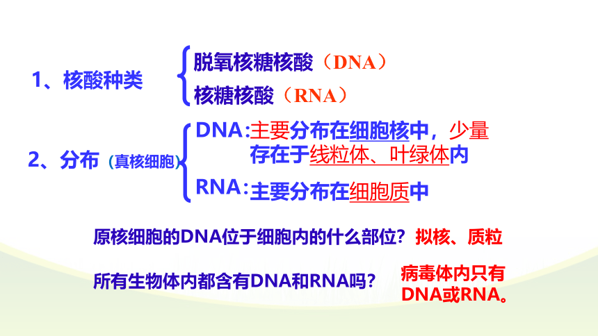 2021-2022学年高一上学期生物人教版必修一2.5核酸是遗传信息的携带者课件（共36张PPT）