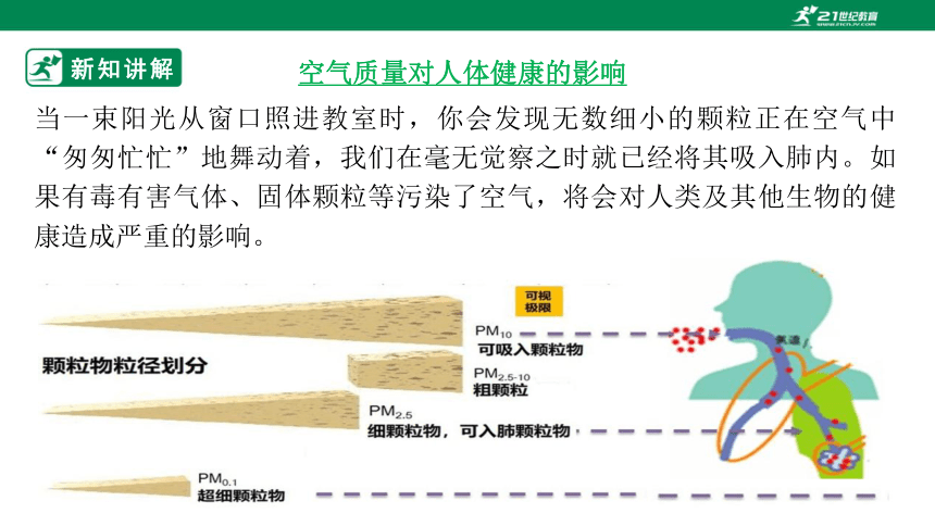 3.2.3 呼吸保健与急救-2022-2023学年七年级生物下册同步课件（济南版）(共36张PPT)