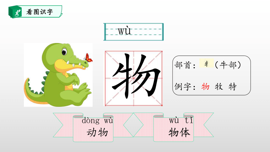 17.动物王国开大会 课件(共45张PPT)