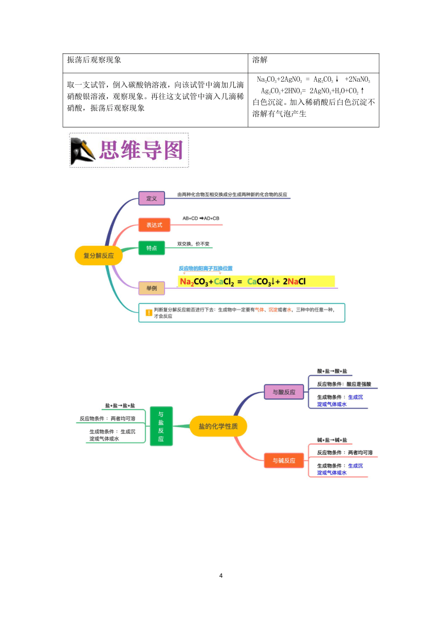 2023浙教版科学八升九暑期“快人一步”培优讲义（八）：几种重要的盐（2）【word，含答案】