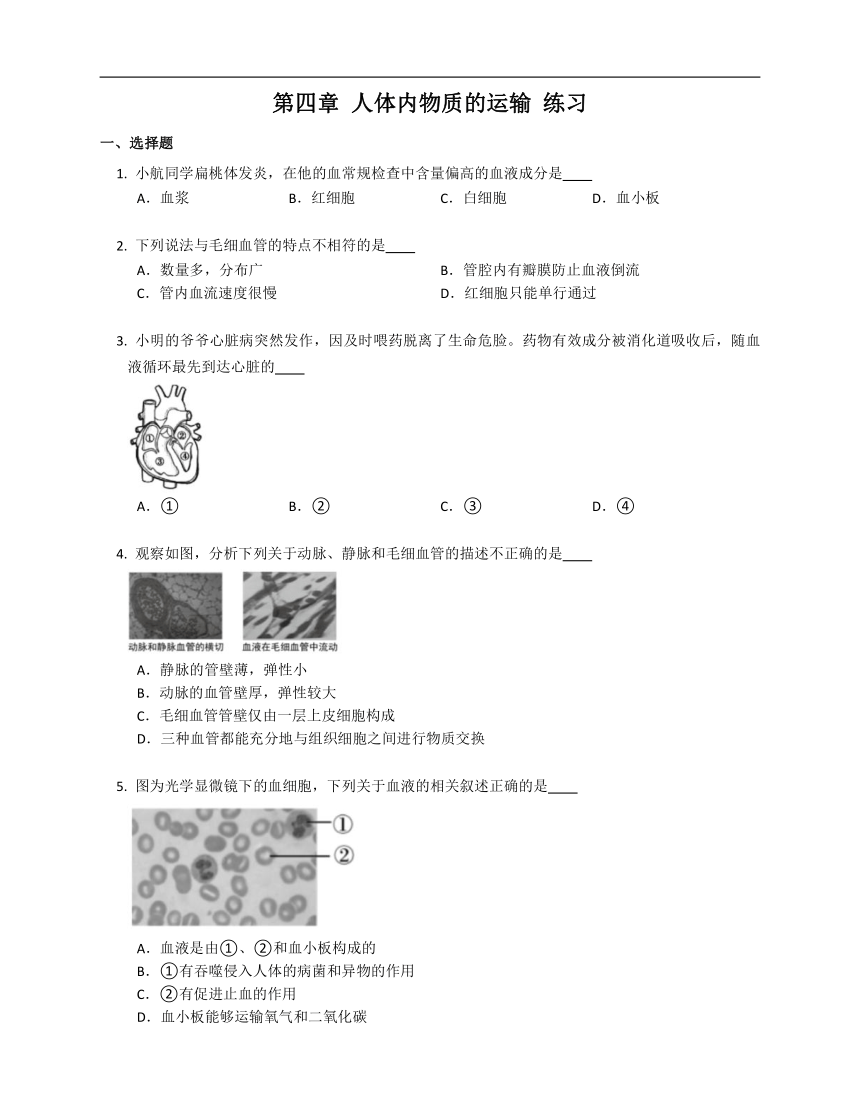 第四章 人体内物质的运输 练习（含解析）