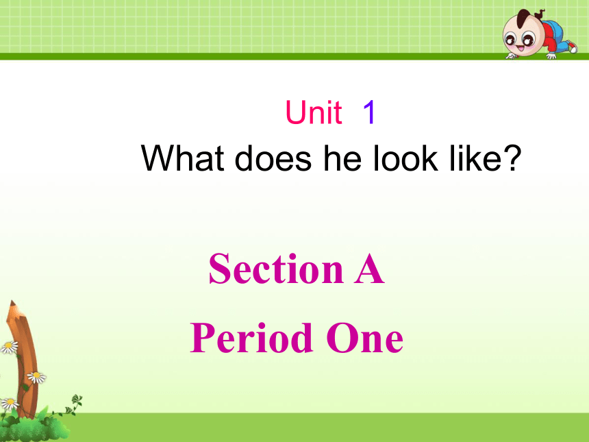 Unit 1  What does he look like? 第一节课(共146张PPT)